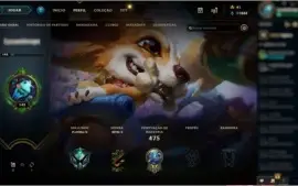 Conta com todos os campeões - Platina IV
