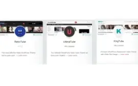 Plugin WP-Script para Site Adulto