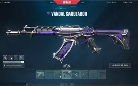 CONTA VALORANT MUITAS SKINS
