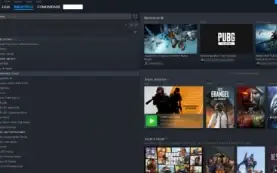 Steam 20 Anos - Cs2 Mil Horas + New World + Gta V