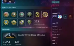 conta steam cs go 11 medalhas, 3343 horas de jogo, nível 60