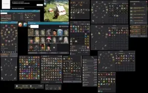 Conta Bdo Com (Barraca, Pets T4 T5, Trajes, Entre Outros)