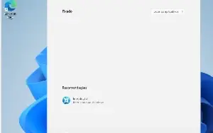 Otimização para instalação do Windows 11