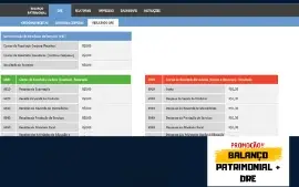 Planilha Balanço Patrimonial + DRE