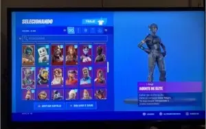 Conta fortnite com todos os passes e skins raras