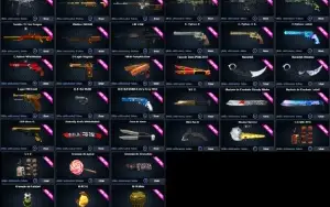 Conta Point Blank Tenente Coronel 2