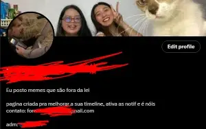 Página no Twitter - 2.5k seguidores com Engajamento Alto