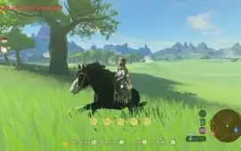 Conta Nintendo 12 jogos — Zelda, Monster Hunter e outros