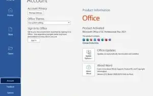 Windows 11 Pro 22H2 Build Puls Office 2021 Pro Plus 2023