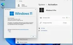 Windows 11 Pro 22H2 Build Puls Office 2021 Pro Plus 2023
