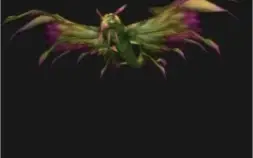 Conta wow com mais de 11 anos