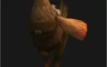 Conta wow com mais de 11 anos