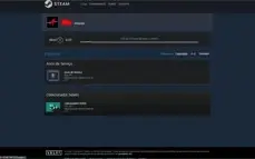 CONTA OLD STEAM 16 ANOS MEDALHAS 5 E 10 ANOS +6 JOGOS
