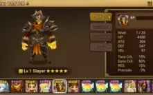 Conta SW global 6 NAT 5