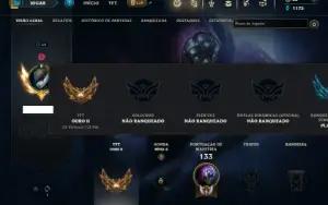Unranked com 65 Champs e 20 Skins +4 Fragmentos