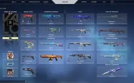 Conta Valorant Cheia De Skins Desde A BETA