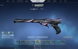 Conta Valorant Cheia De Skins Desde A BETA