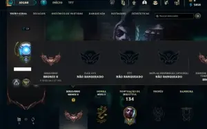 Bronze 2 com 55 Champs e 20 Skins