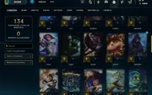 Bronze 2 com 55 Champs e 20 Skins