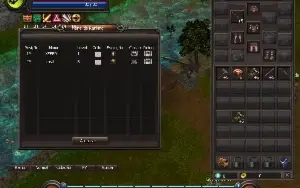 Wyd - Servidor Base 500,00