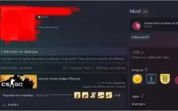 CONTA PRIME CS MEDALHA 5 ANOS LVL 15 GC
