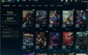 Conta Full champions