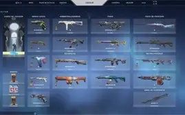 Conta com mais de R$ 1500 em skins, cards e sprays
