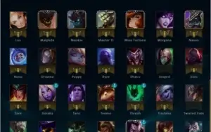 Conta platina 5
