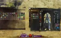 CONTA GW2 COM AS 2 EXPANSÕES HEART OF THORNS E PATH OF FIRE.
