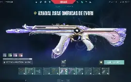 Conta de Valorant com +5.000 Gastos