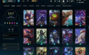 Unranked com TODOS os Champs e 307 Skins ( ADC / SUP )