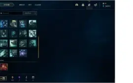 Conta Mestre , 32 skins , praticamente todos os campeões