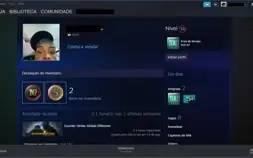 CONTA STEAM 18 ANOS COM MEDALHAS 5/10 DE SERVIÇO