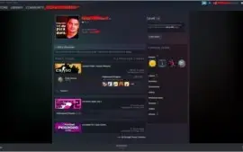 Conta CSGO Águia 1 250 horas de jogo