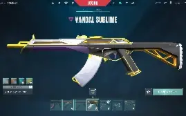 Conta valorant varias skin de vandal ! OURO 1