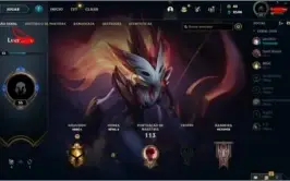 CONTA JUNGLE