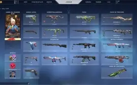 Conta Diamante 1 com várias skins