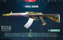 Conta Valorant Ascendente C/ Skins De Vandal, Phantom E Mais