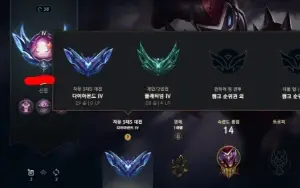 Conta Diamante Iv Flex Platina Iv Solo Duo 22K Ea