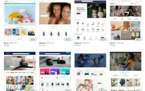 +300 Shopify Themes