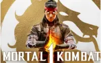 Mortal Kombat 1 Premium Edition Offline Pc Digital Steam