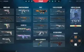 Conta Valorant Beta Pacote Champions Pra Fazer De Main!