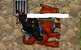 VENDO EK 209 TIBIA NON PVP COM MOUNTS ADDONS E TIBIA COINS