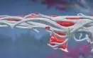 Conta Valorant MUITAS SKINS + Lol 156 skins todos bonecos