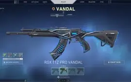CONTA ALL CHAMPS, 122 SKINS/VALORANT SKINS