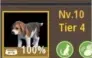 Conta BDO 700 GS com Carraca full +10 Verde
