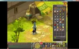 Conta Dofus Ecaflip 199, Servidor Spiritia
