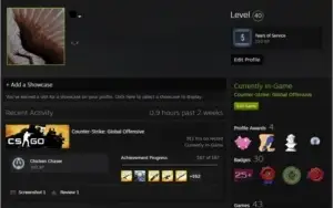 CONTA CS:GO PRIME SUPREMO LVL 16 GAMERSCLUB