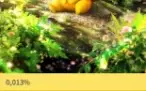 Pokémon Tcg Pocket; Pikachu Ex; Charizard Ex - 3 Mewtwo Ex;
