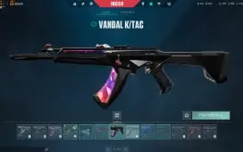 conta platina 3 valorant